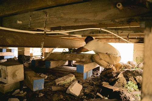 House supported on elevated foundation